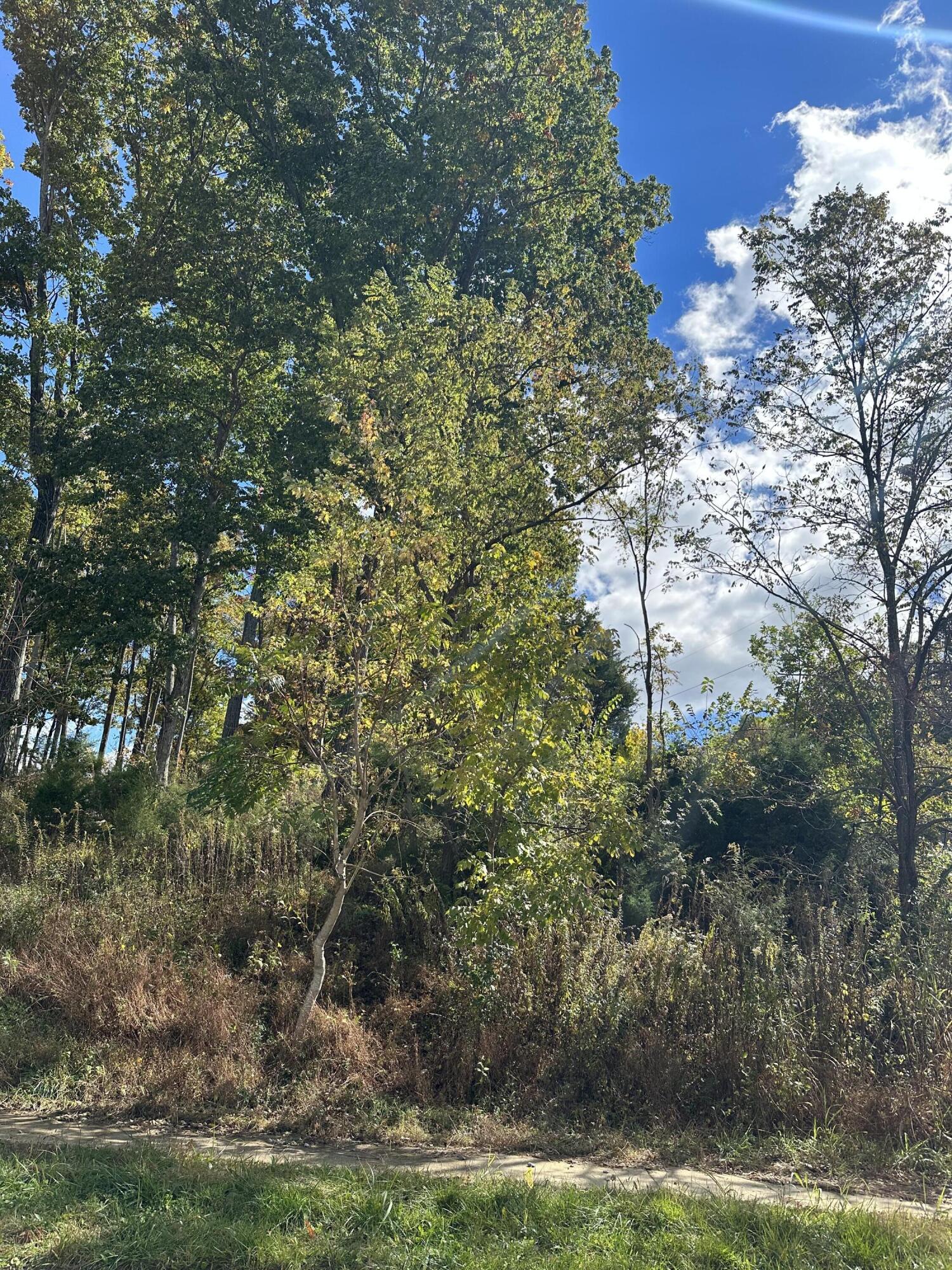 1509 Becky Drive Property Photo