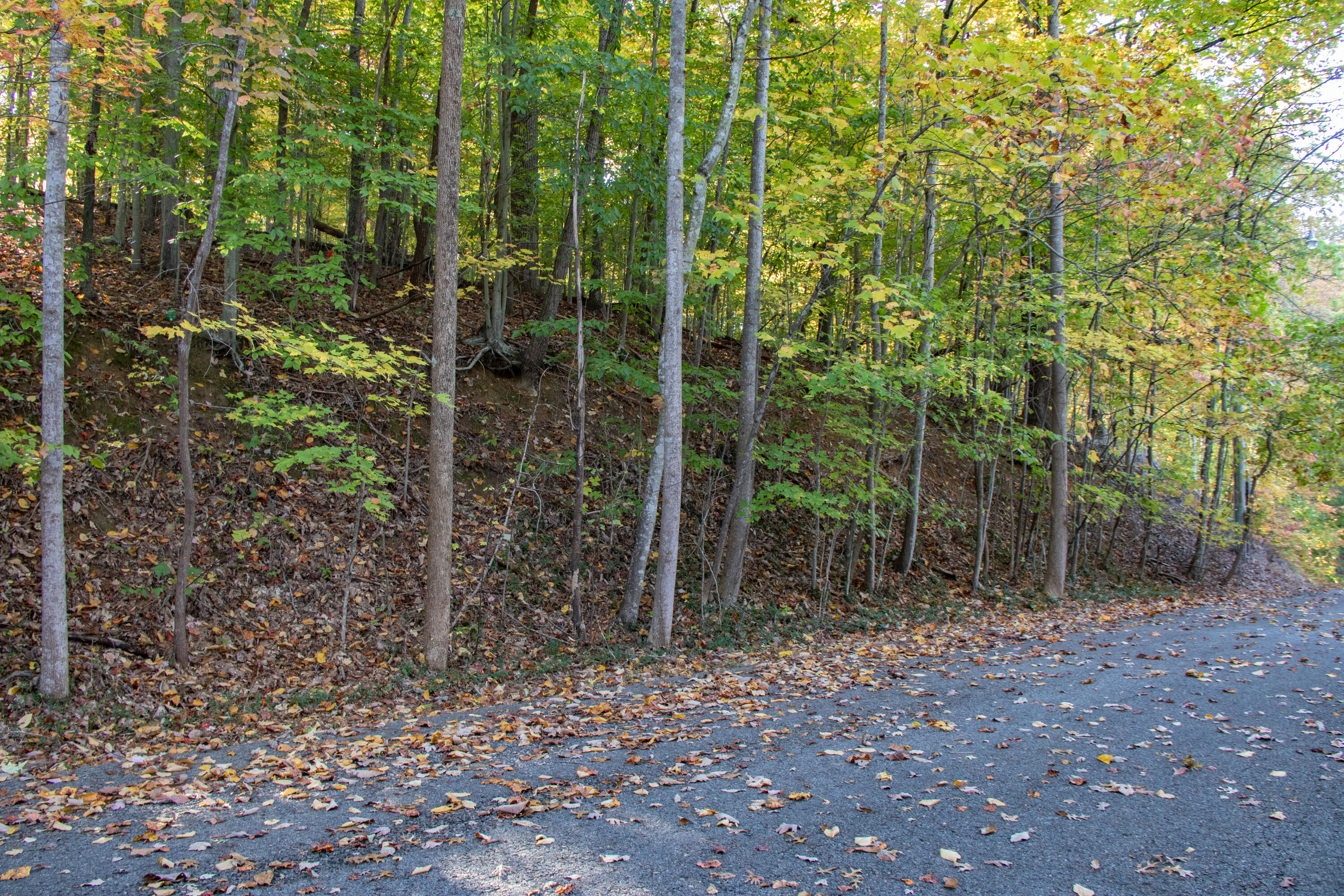 Lot 13 Skyline Drive Property Photo 1