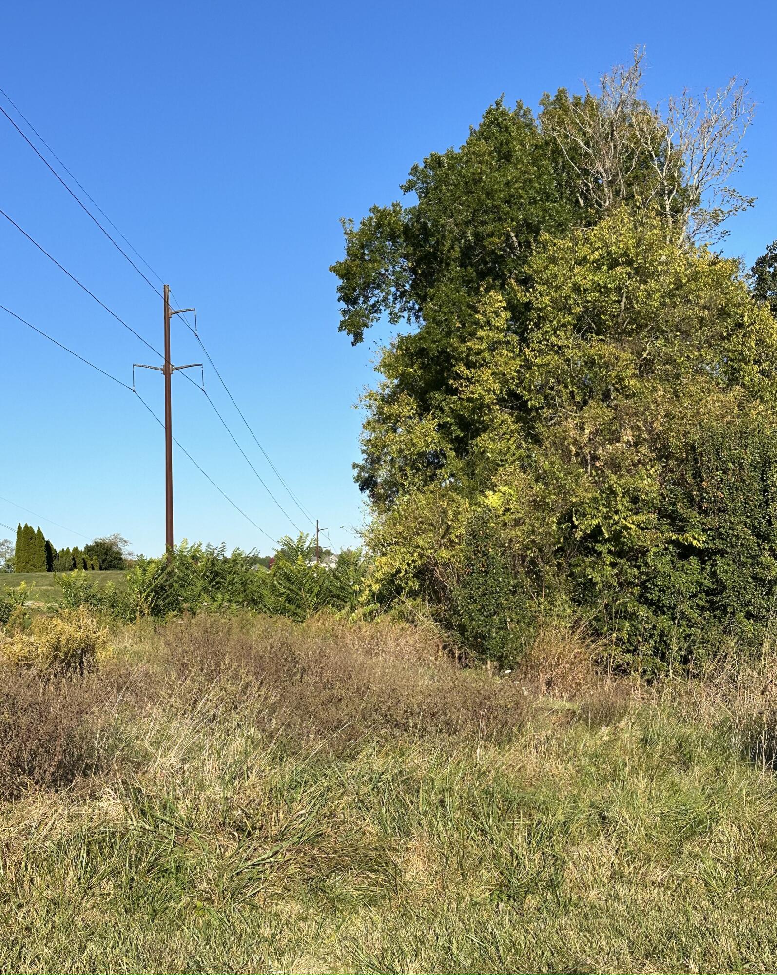 224 Lee Carter Drive Property Photo