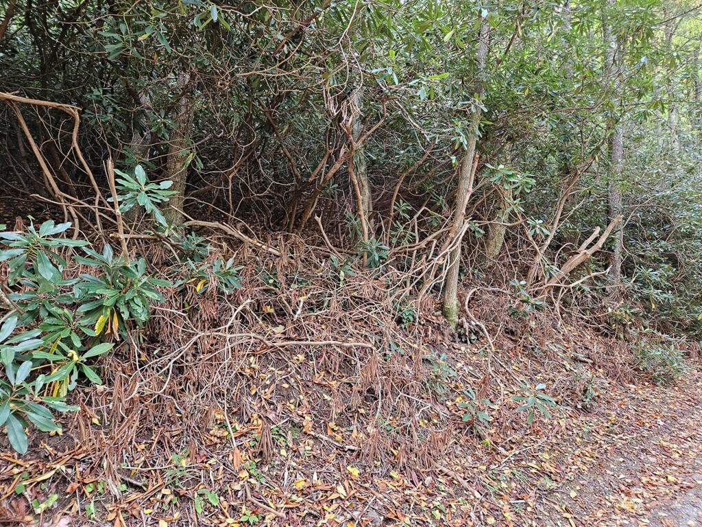 14b Lot Pennington Branch Road Property Photo