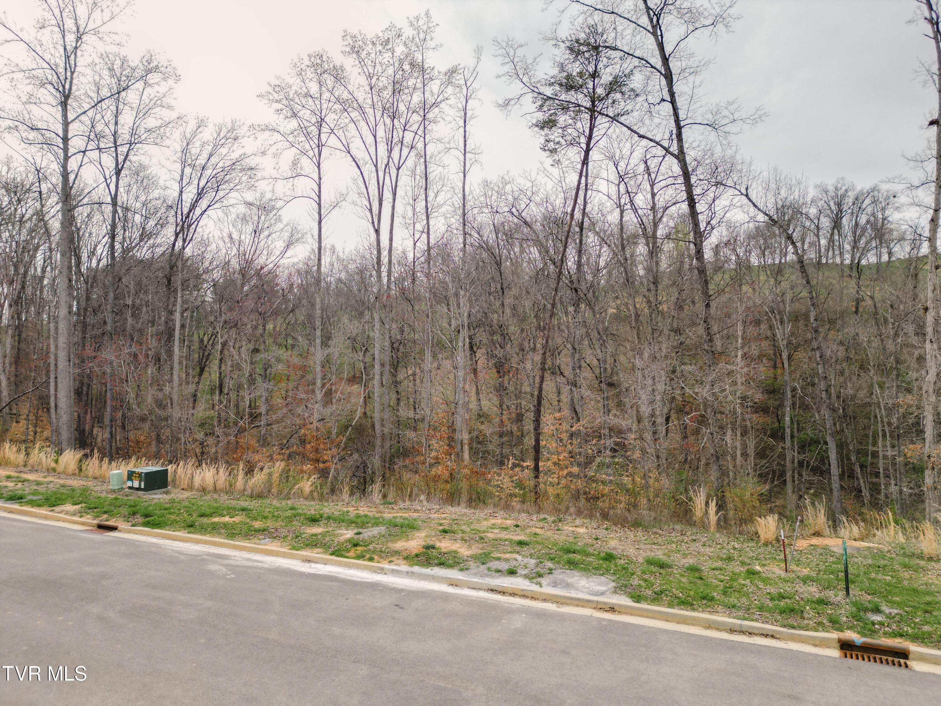 Lot 30 Bridgewater Boulevard Property Photo