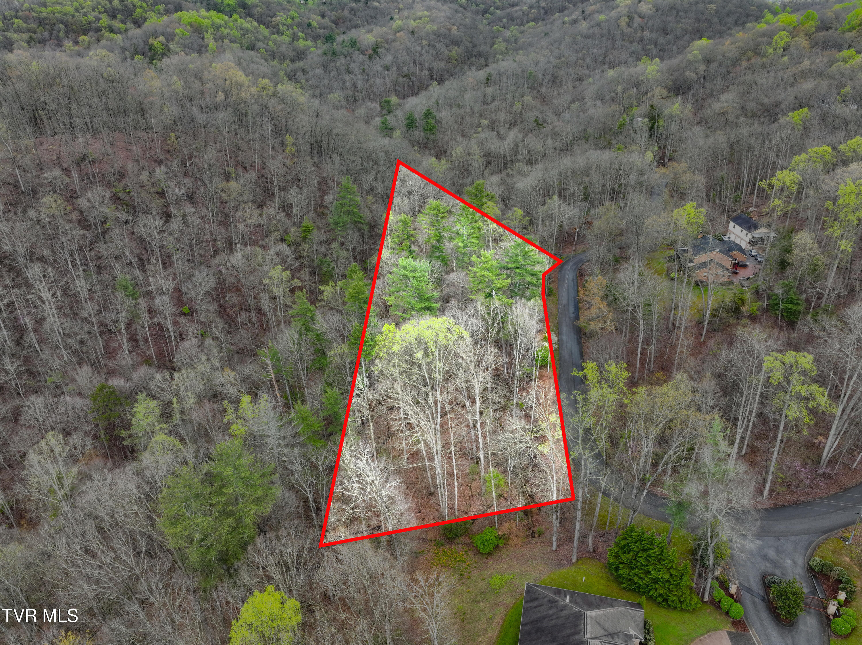 Tbd Skyline Drive Property Photo 1