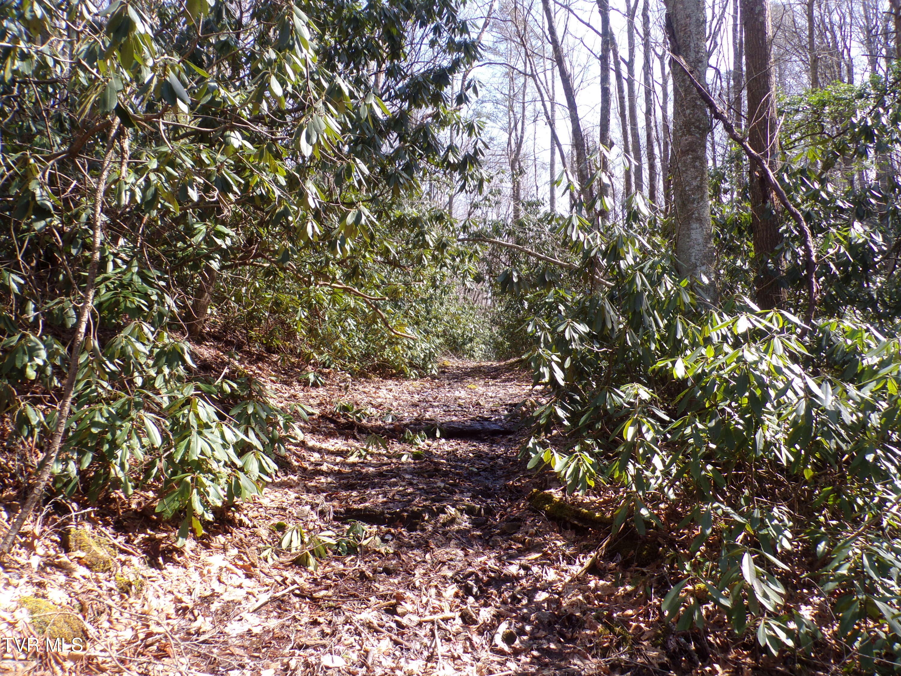 Tbd Hwy 133 Property Photo 1