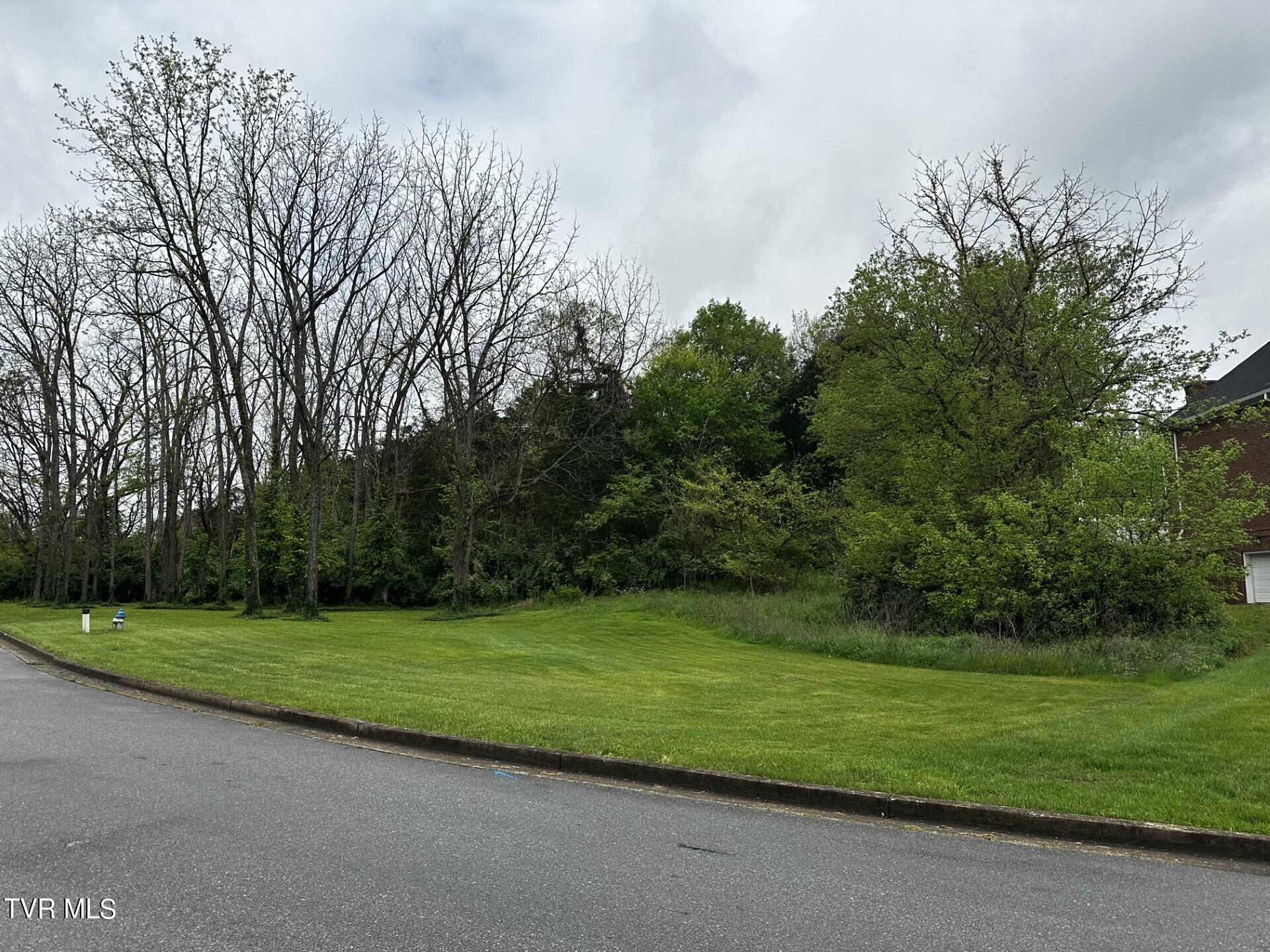 .76 Ac Watercress Drive Property Photo