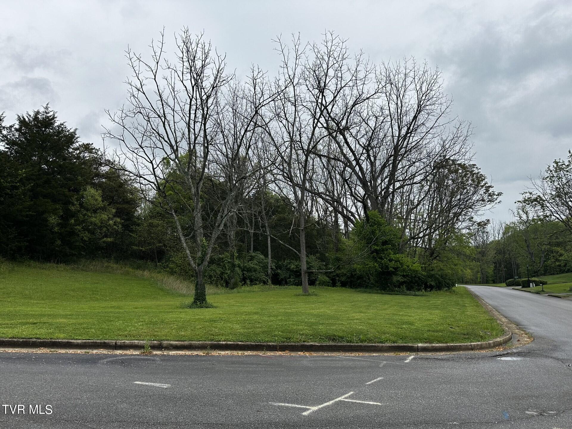 .66 Ac Watercress Drive Property Photo