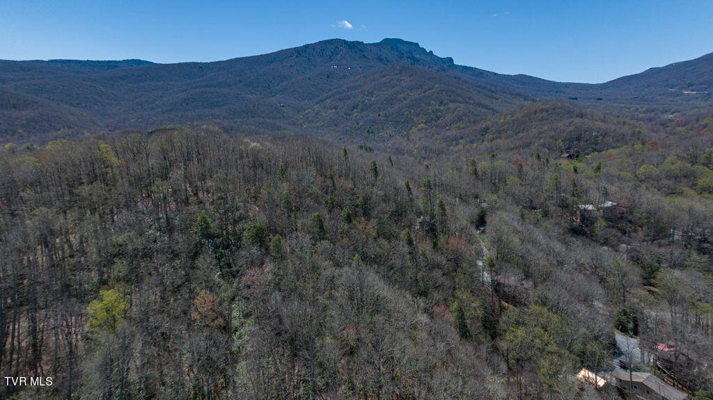 Tbd Poplar Ridge Road Property Photo 2