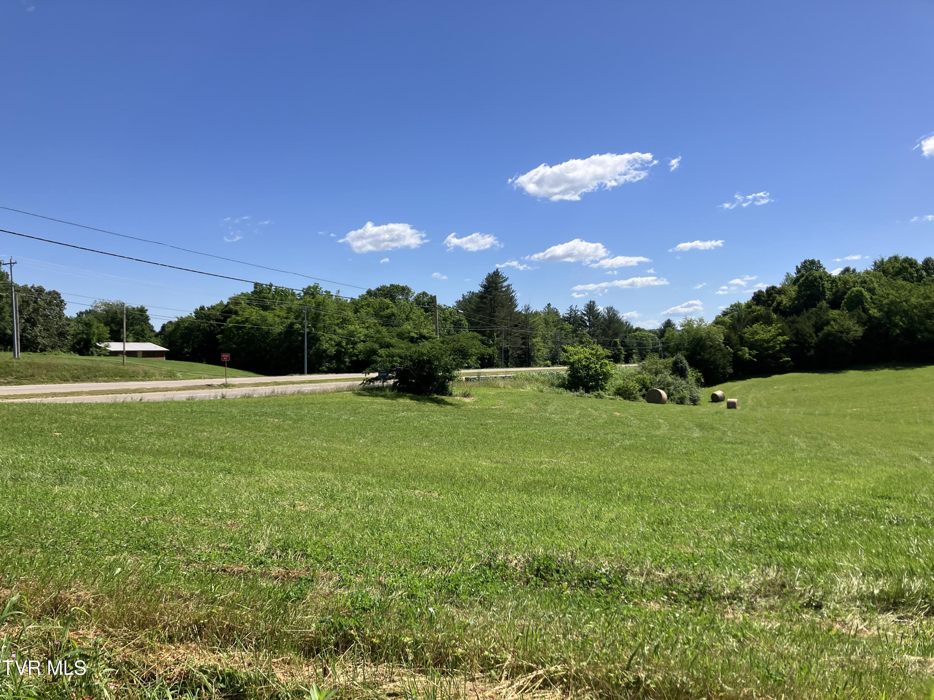 0 Highway 11e And Matthews Mill Property Photo 2
