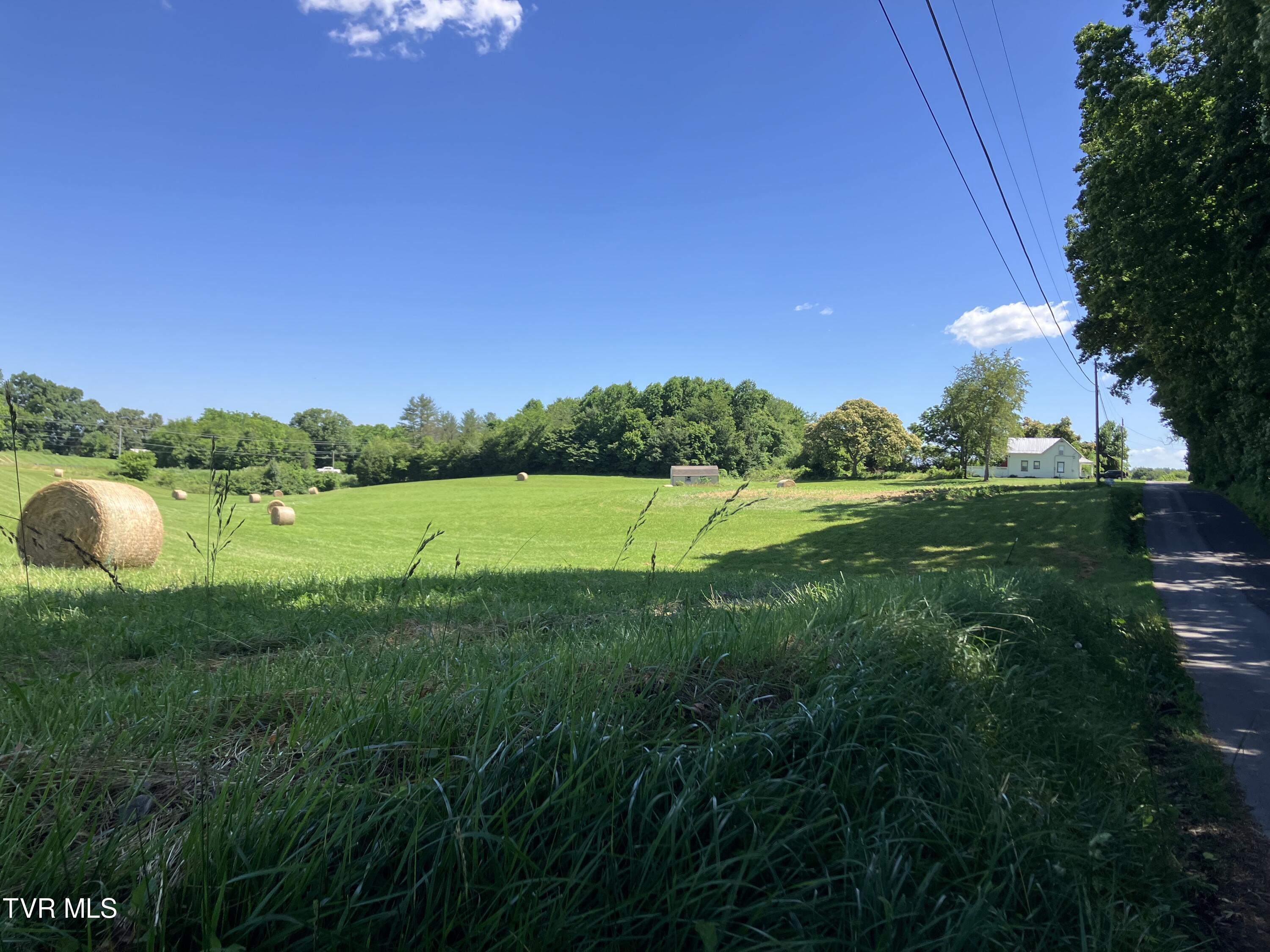 0 Highway 11e And Matthews Mill Property Photo 3