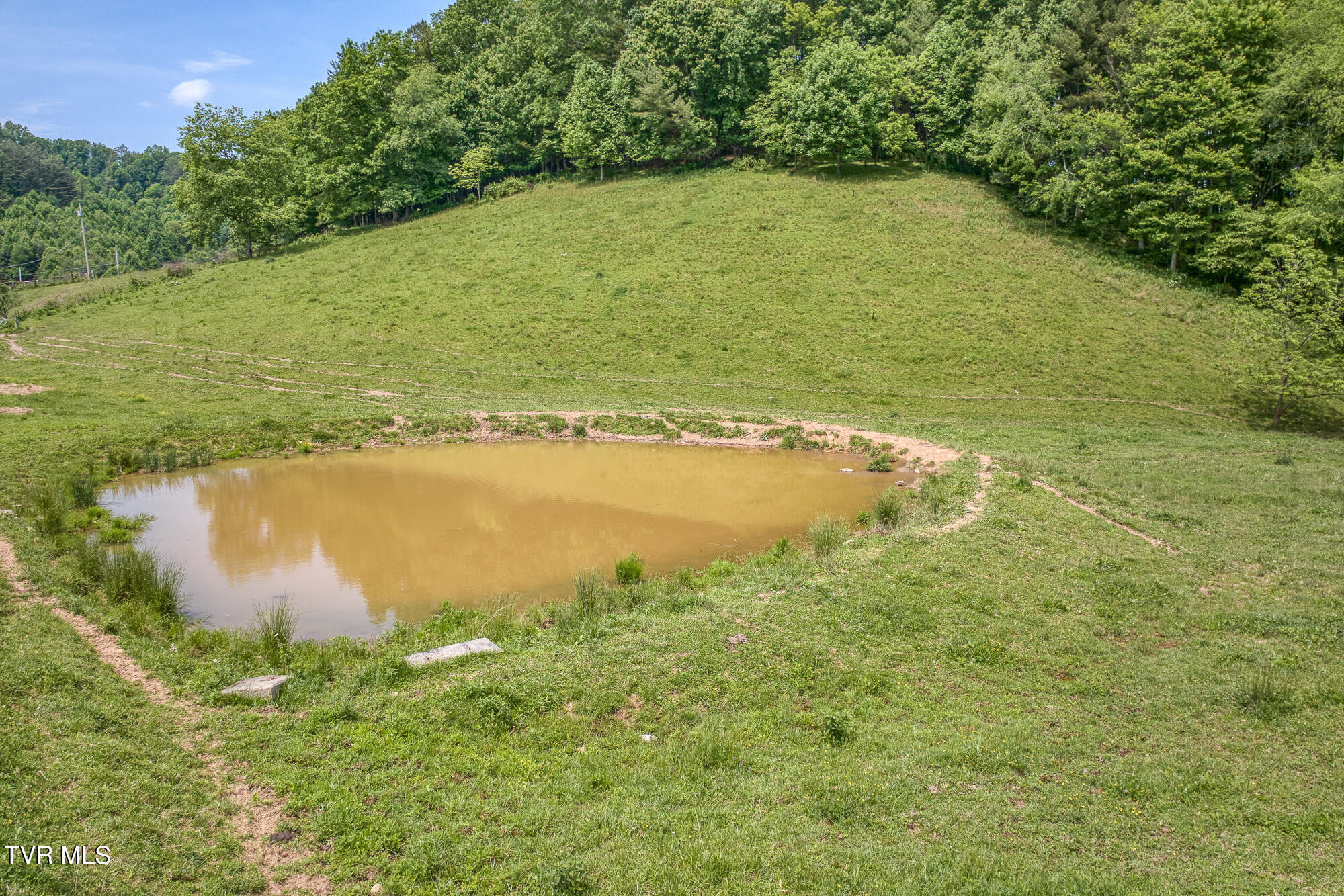 Tbd Crackers Neck Road Property Photo 16