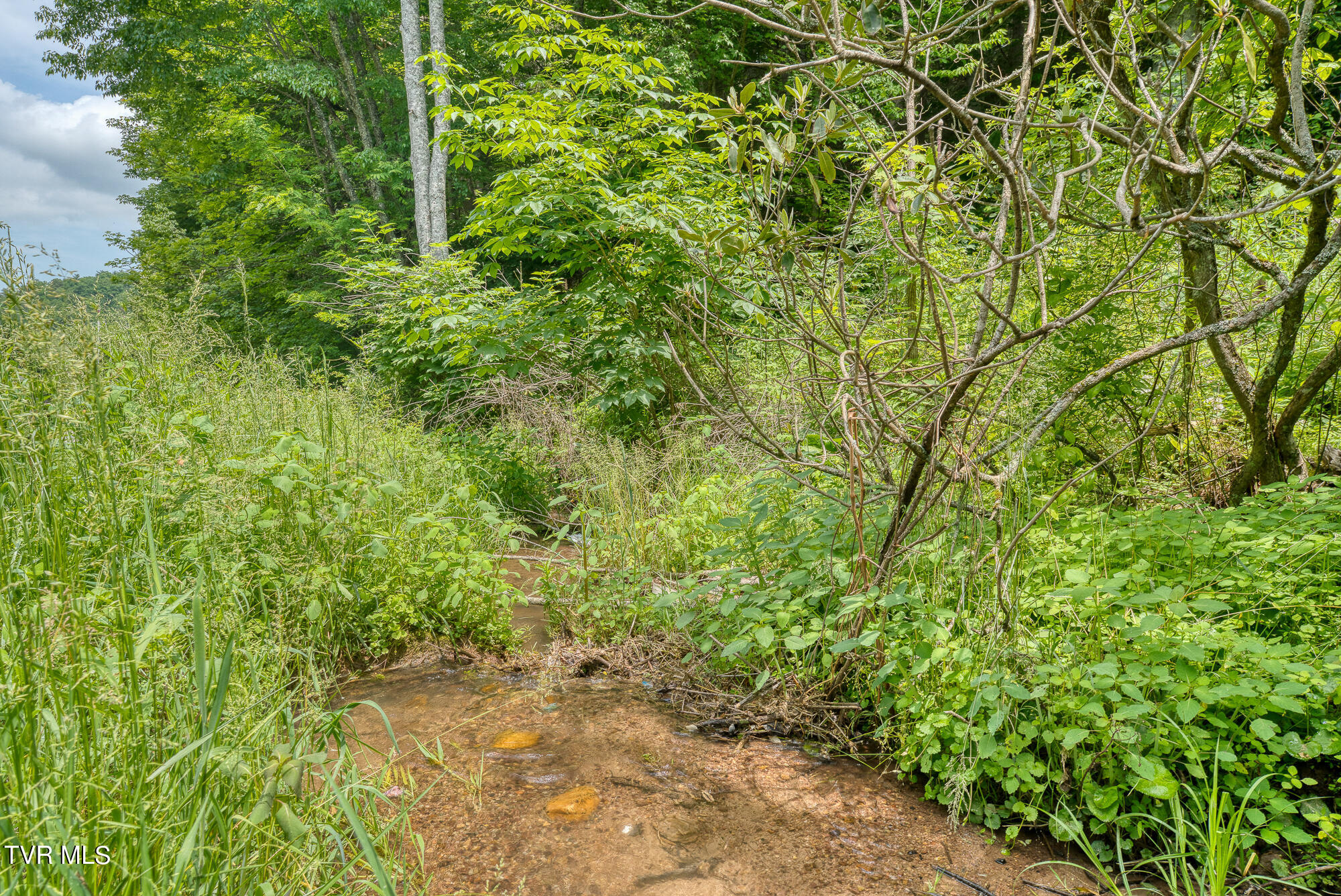 Tbd Crackers Neck Road Property Photo 21