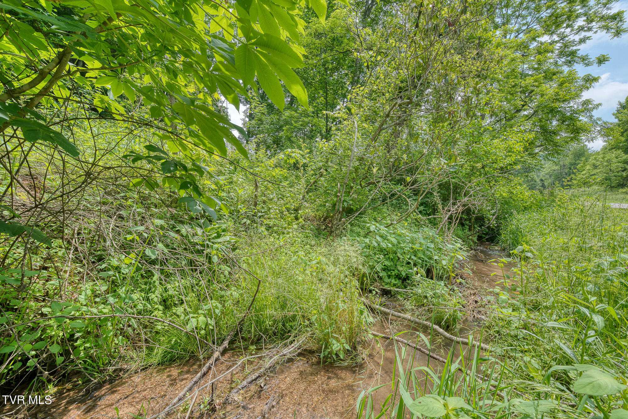 Tbd Crackers Neck Road Property Photo 22