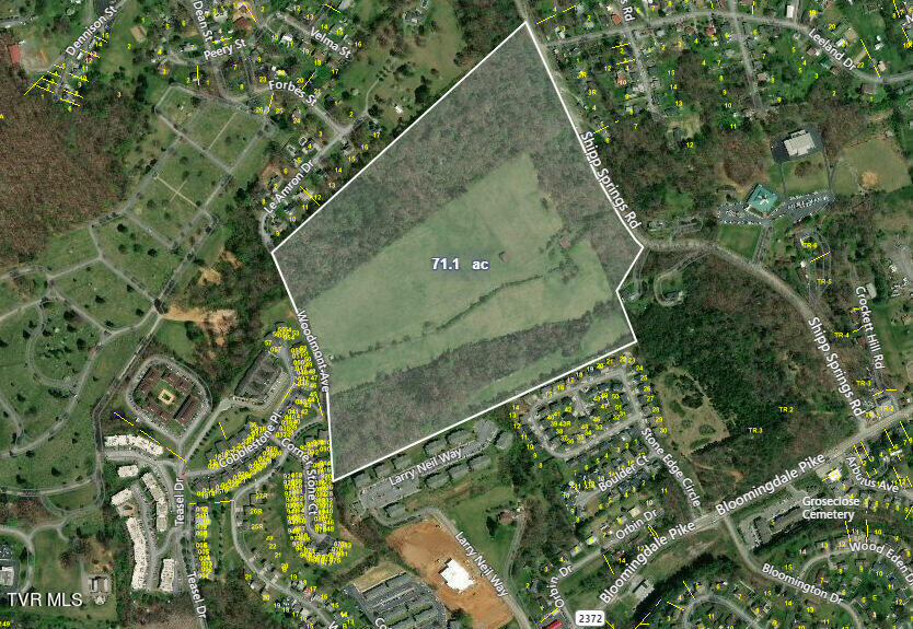Tbd Shipp Springs Road Property Photo 2