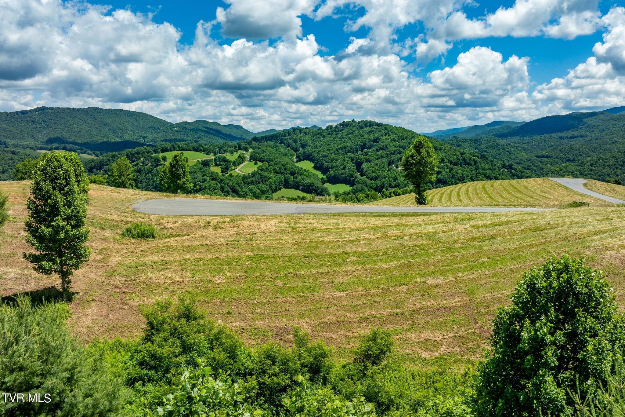 Lot 45 Eagle Ridge Parkway Property Photo 2