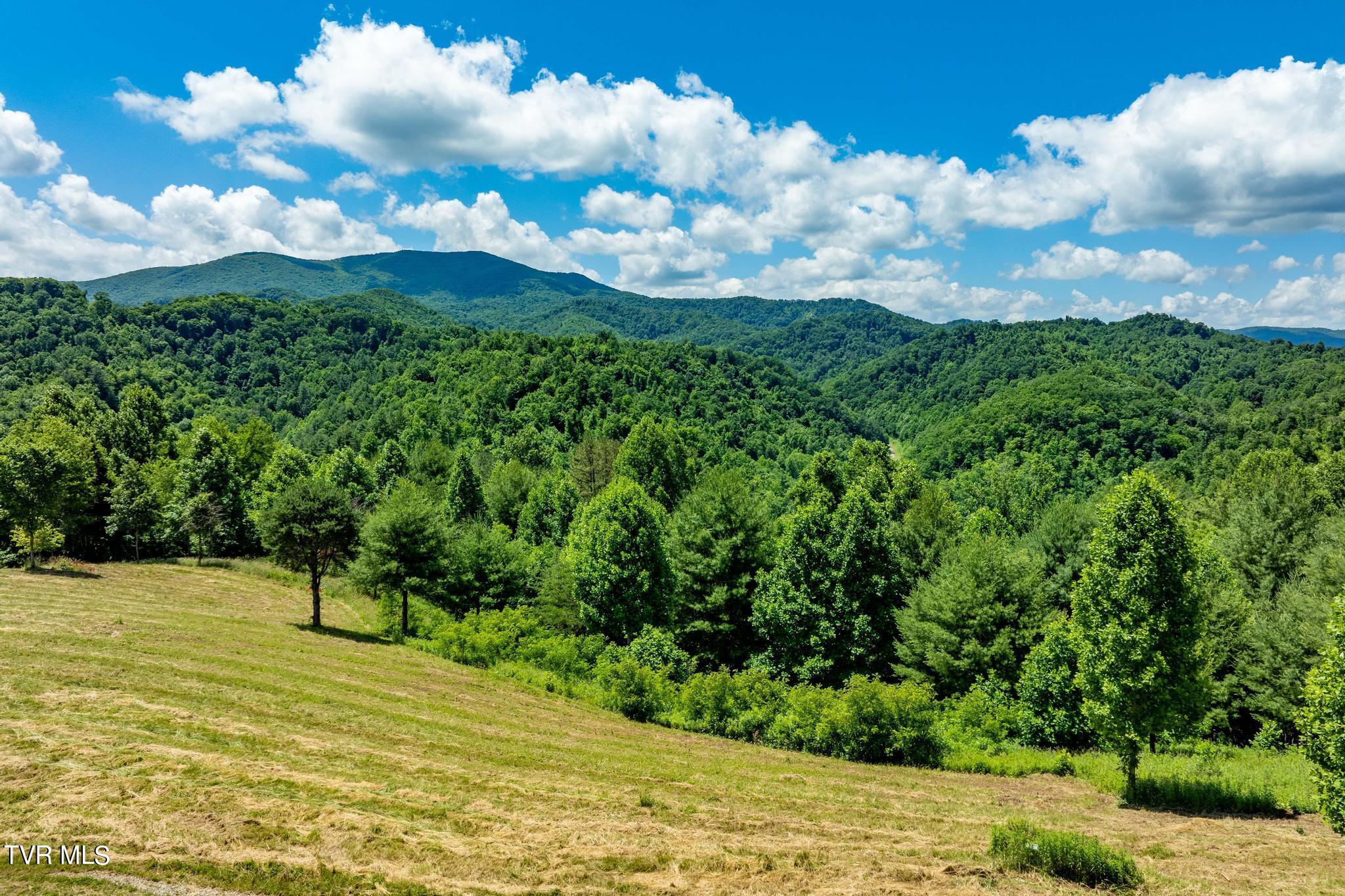 Lot 45 Eagle Ridge Parkway Property Photo 3