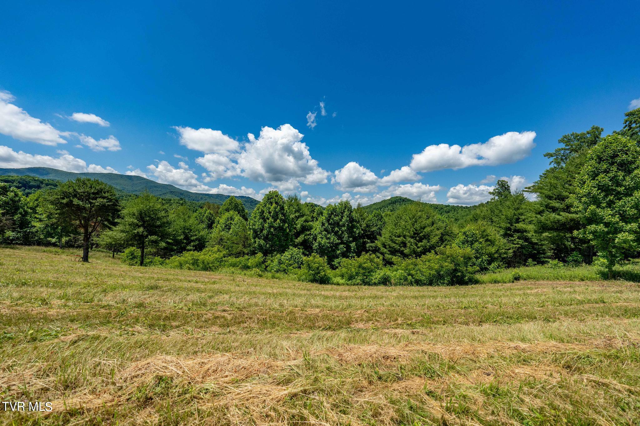 Lot 45 Eagle Ridge Parkway Property Photo 4