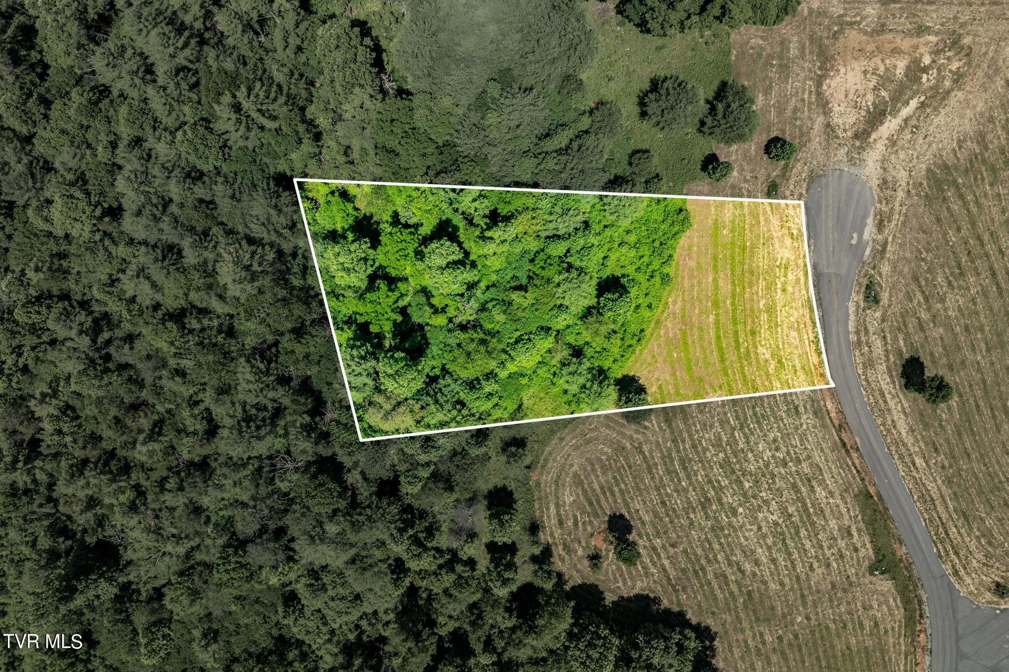 Lot 45 Eagle Ridge Parkway Property Photo 5