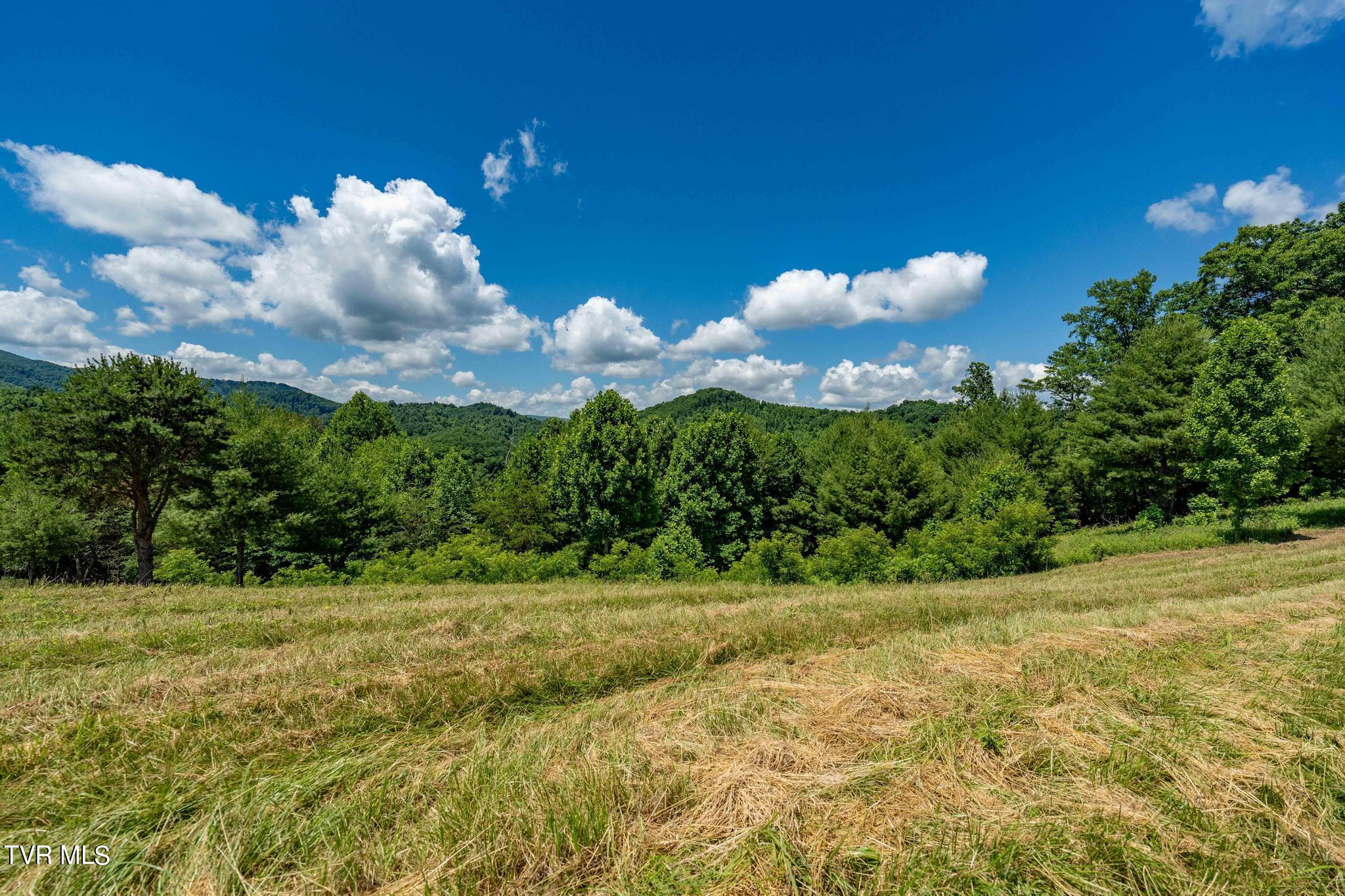 Lot 45 Eagle Ridge Parkway Property Photo 7