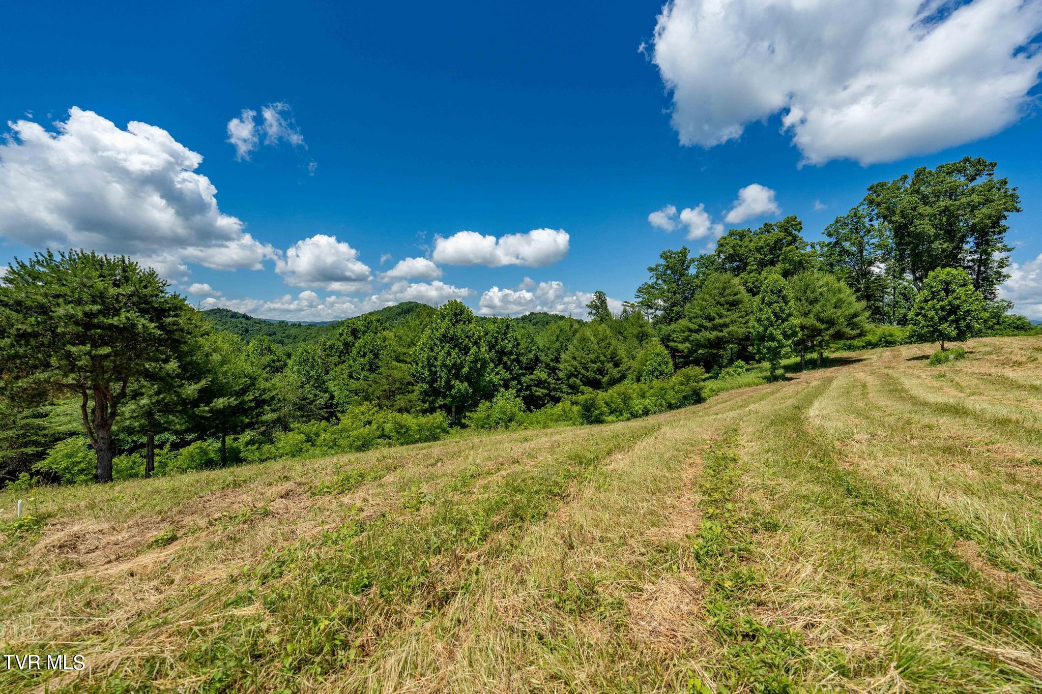 Lot 45 Eagle Ridge Parkway Property Photo 8