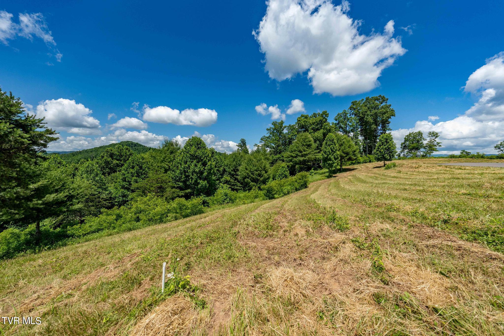 Lot 45 Eagle Ridge Parkway Property Photo 9