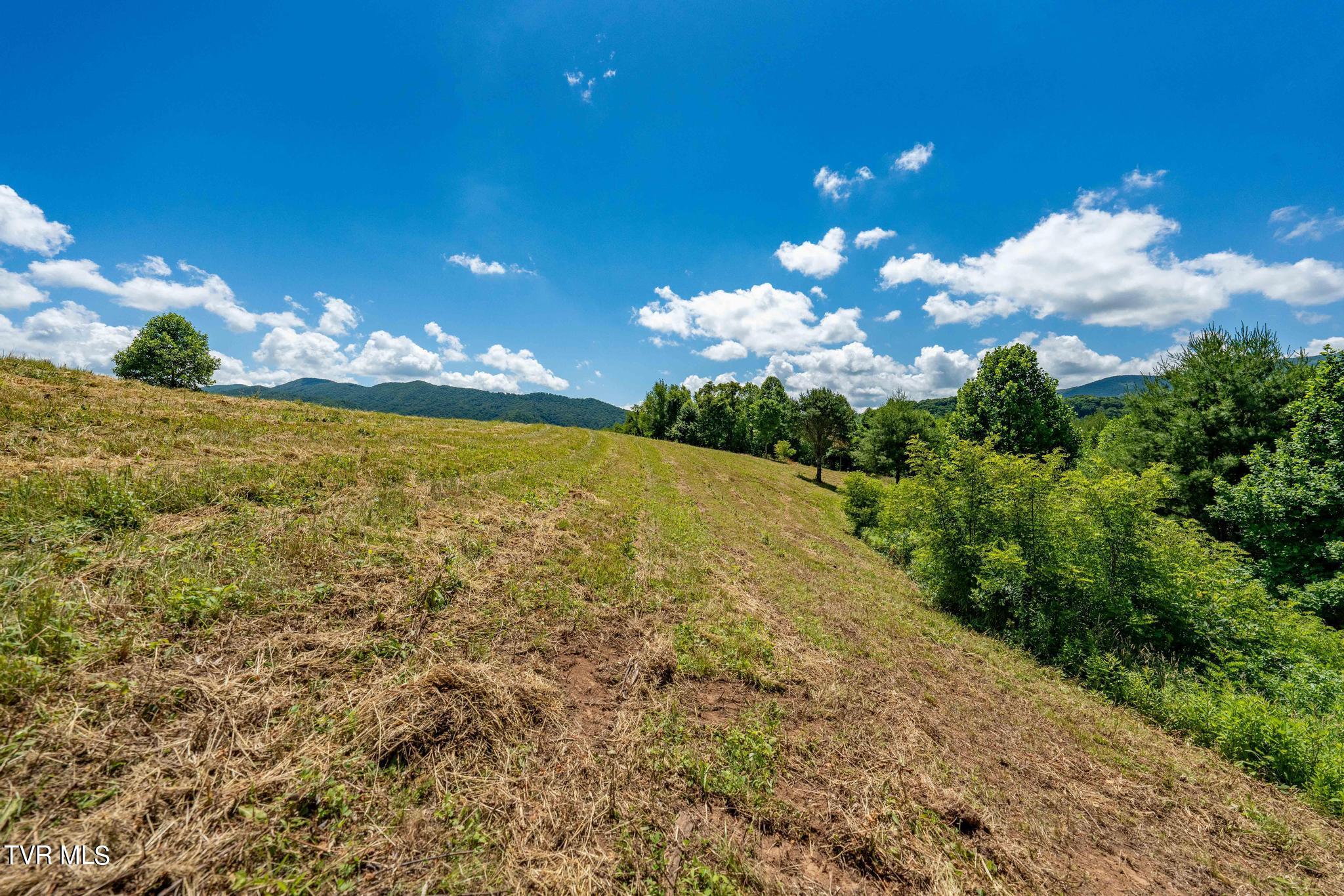 Lot 45 Eagle Ridge Parkway Property Photo 10