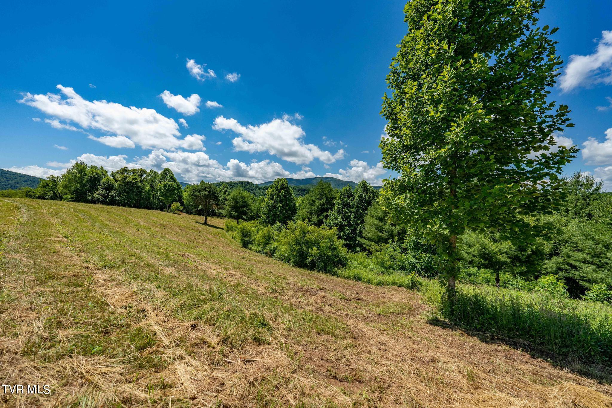 Lot 45 Eagle Ridge Parkway Property Photo 11