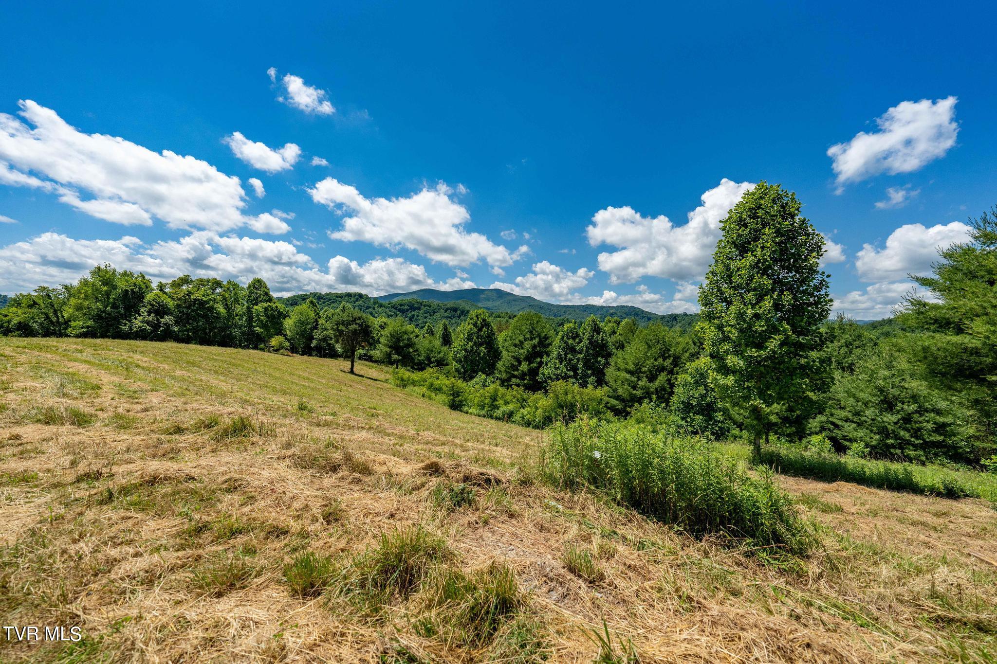 Lot 45 Eagle Ridge Parkway Property Photo 12