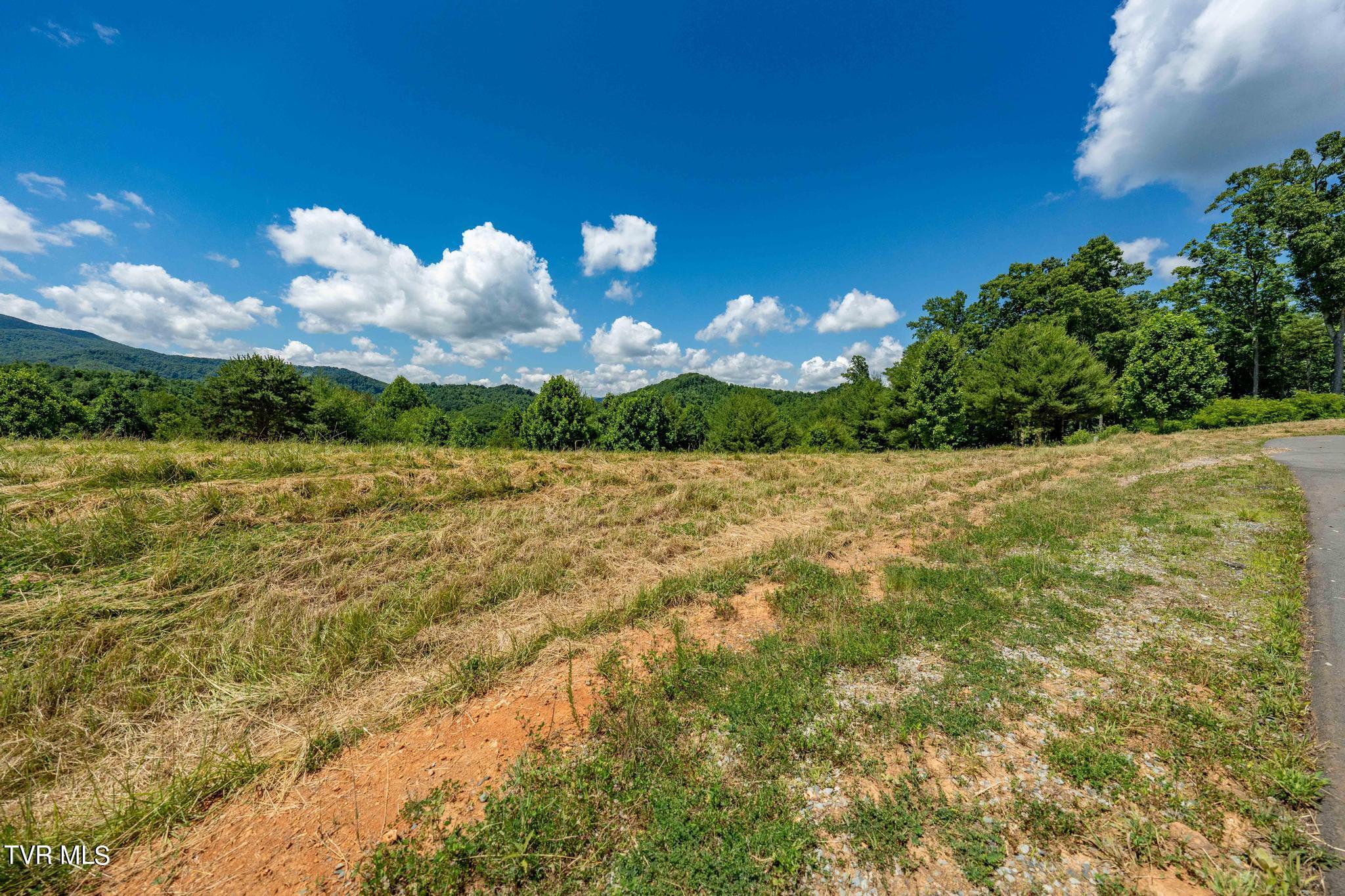 Lot 45 Eagle Ridge Parkway Property Photo 13