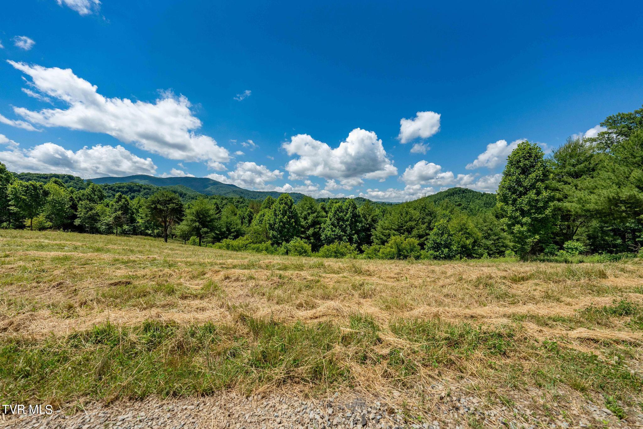 Lot 45 Eagle Ridge Parkway Property Photo 14