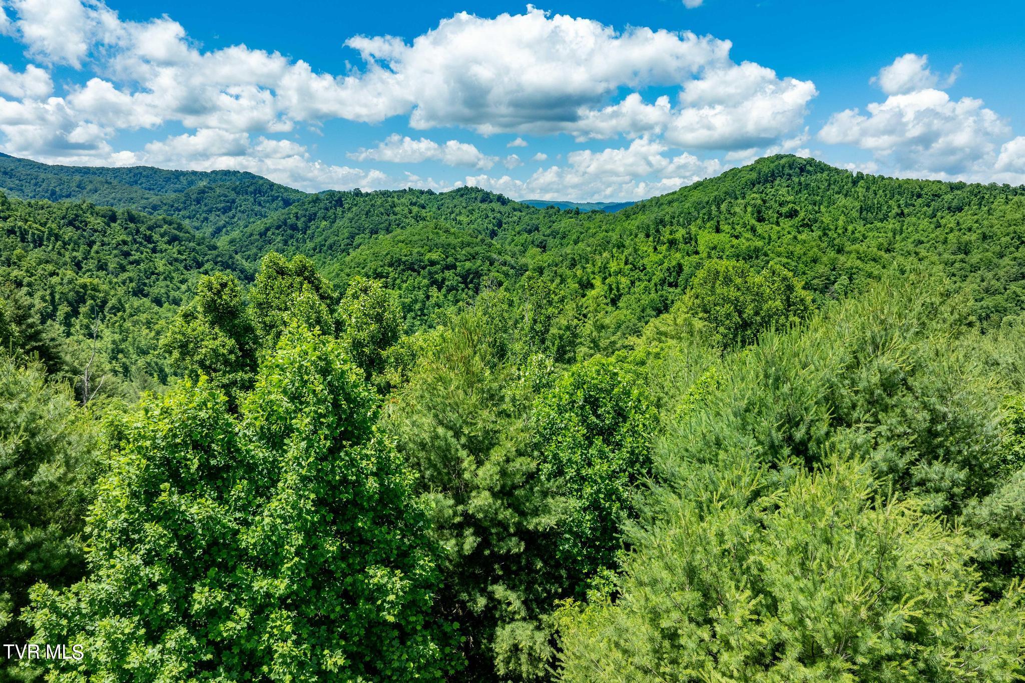 Lot 45 Eagle Ridge Parkway Property Photo 15