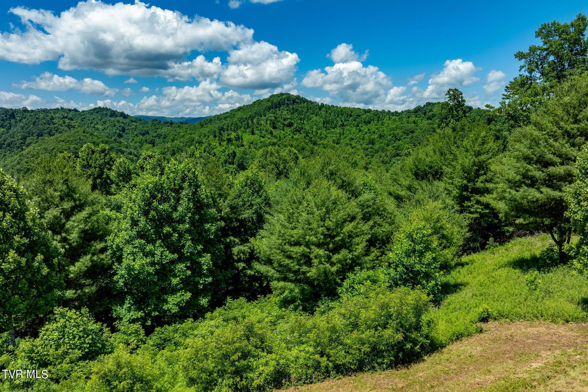 Lot 45 Eagle Ridge Parkway Property Photo 16