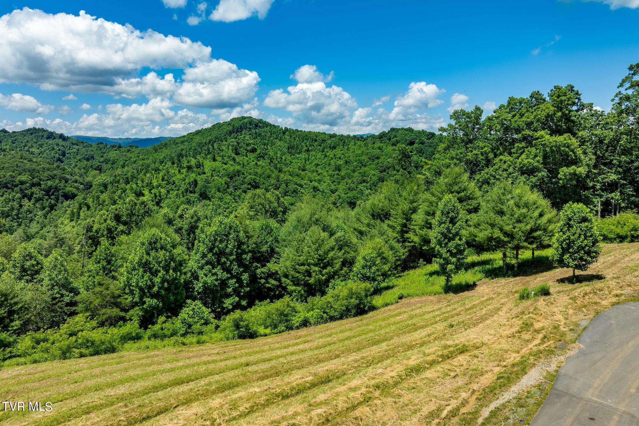 Lot 45 Eagle Ridge Parkway Property Photo 17