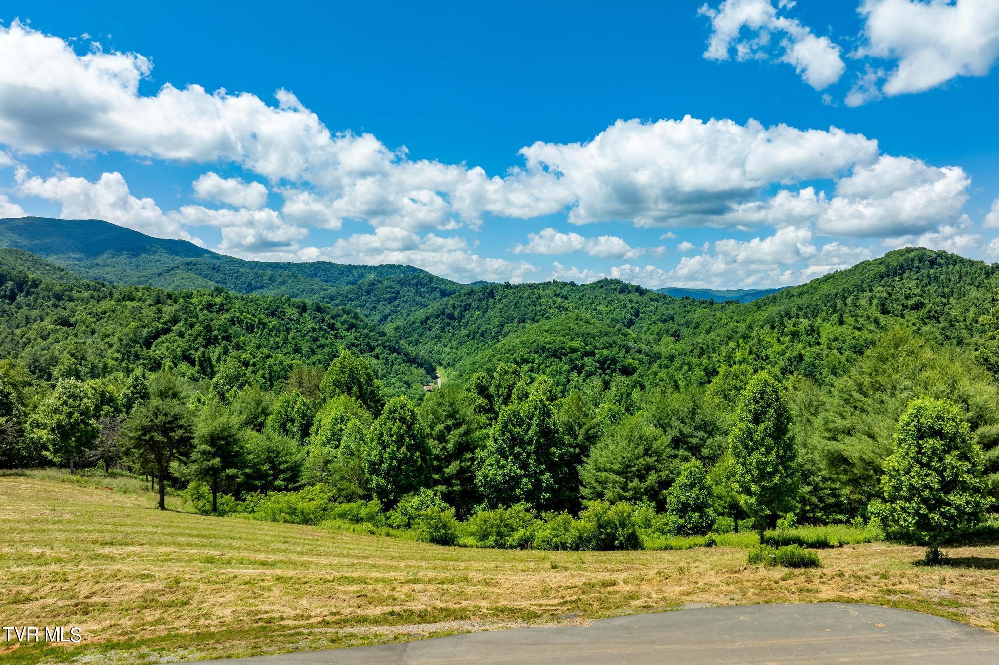 Lot 45 Eagle Ridge Parkway Property Photo 18