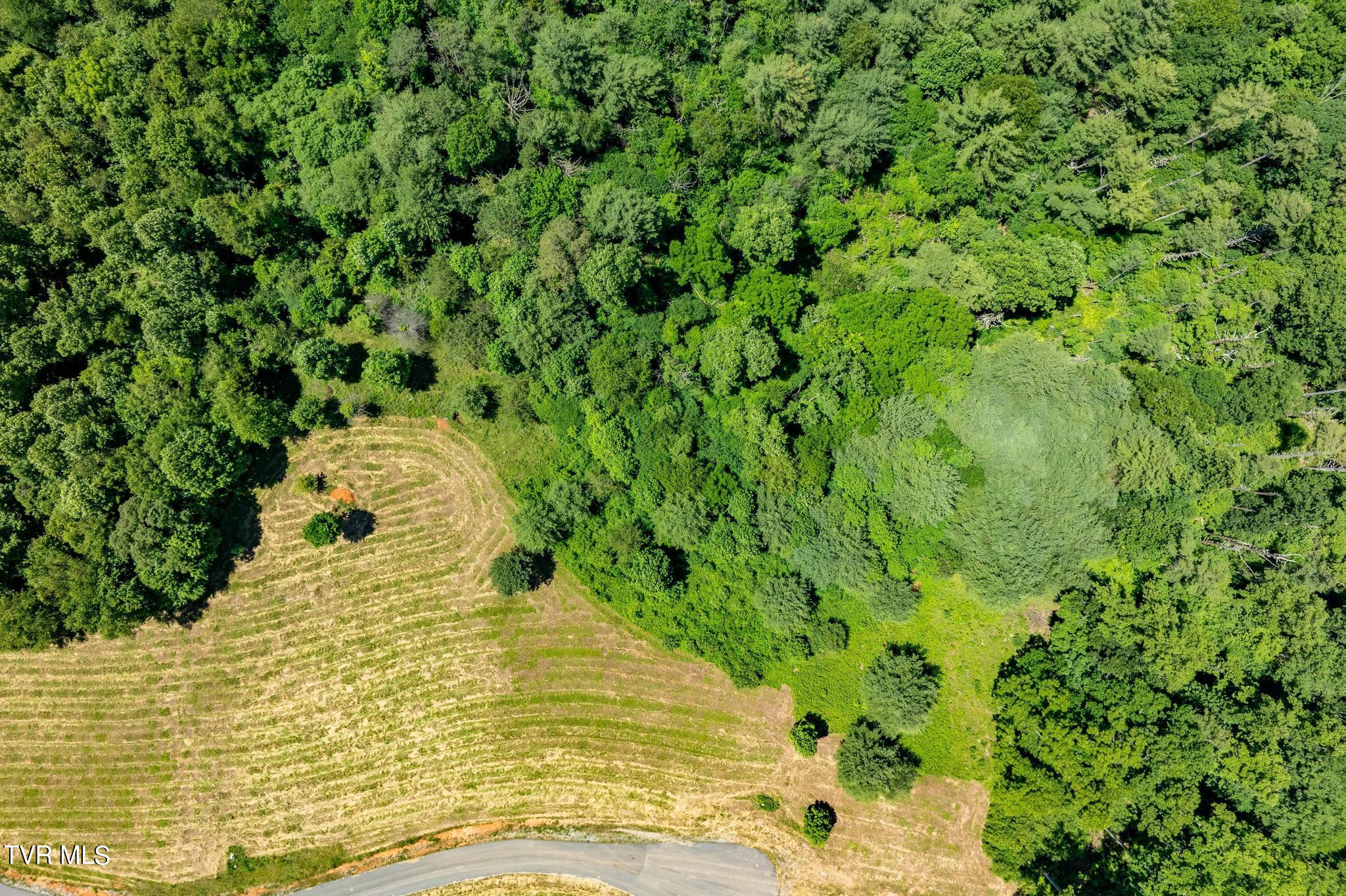 Lot 45 Eagle Ridge Parkway Property Photo 19