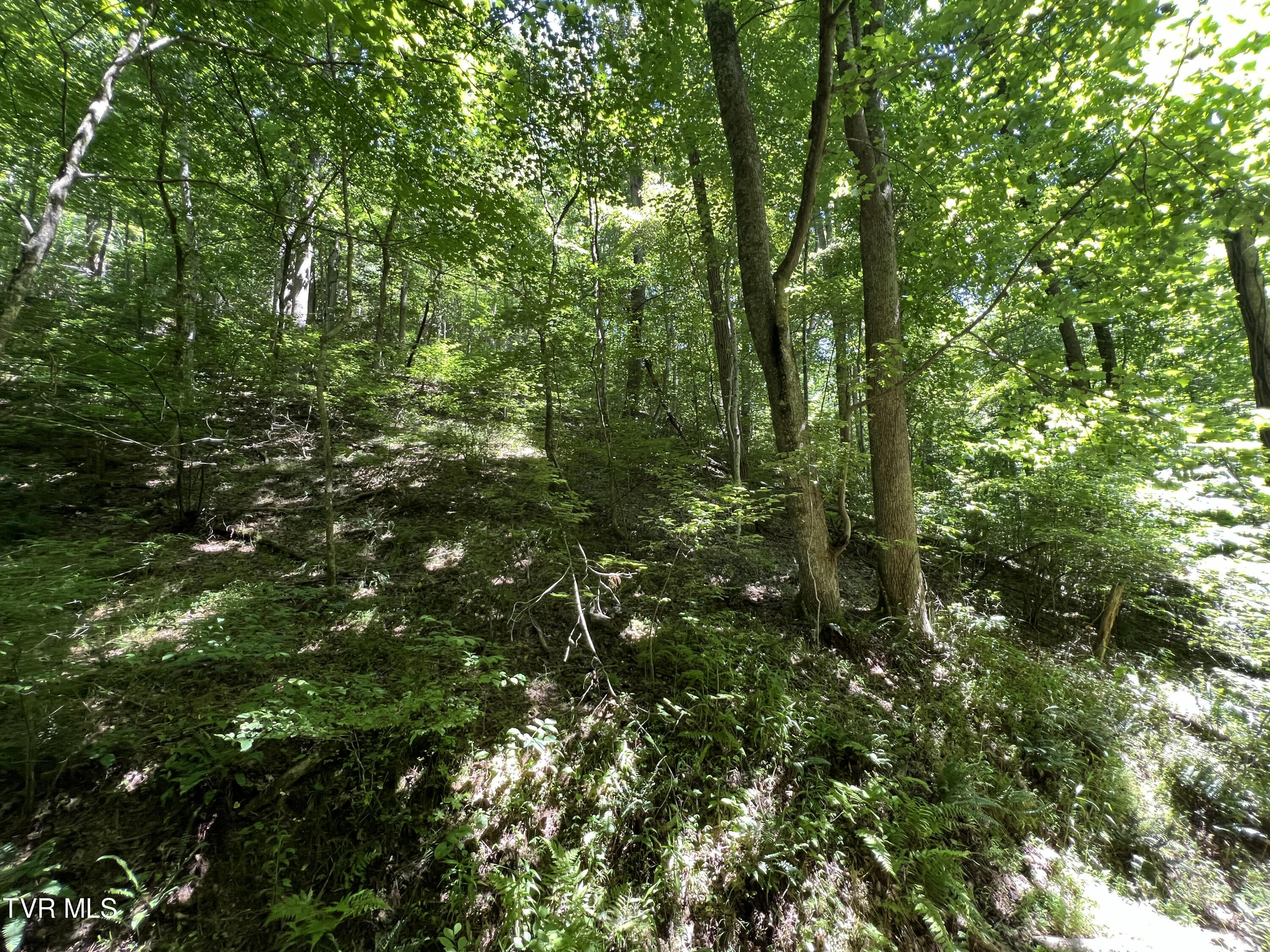 Tbd Canaan Road Property Photo 2