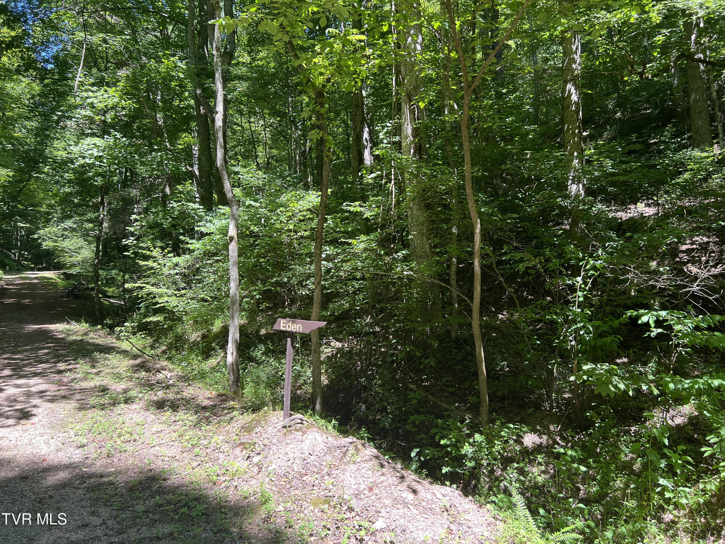 Tbd Canaan Road Property Photo 6