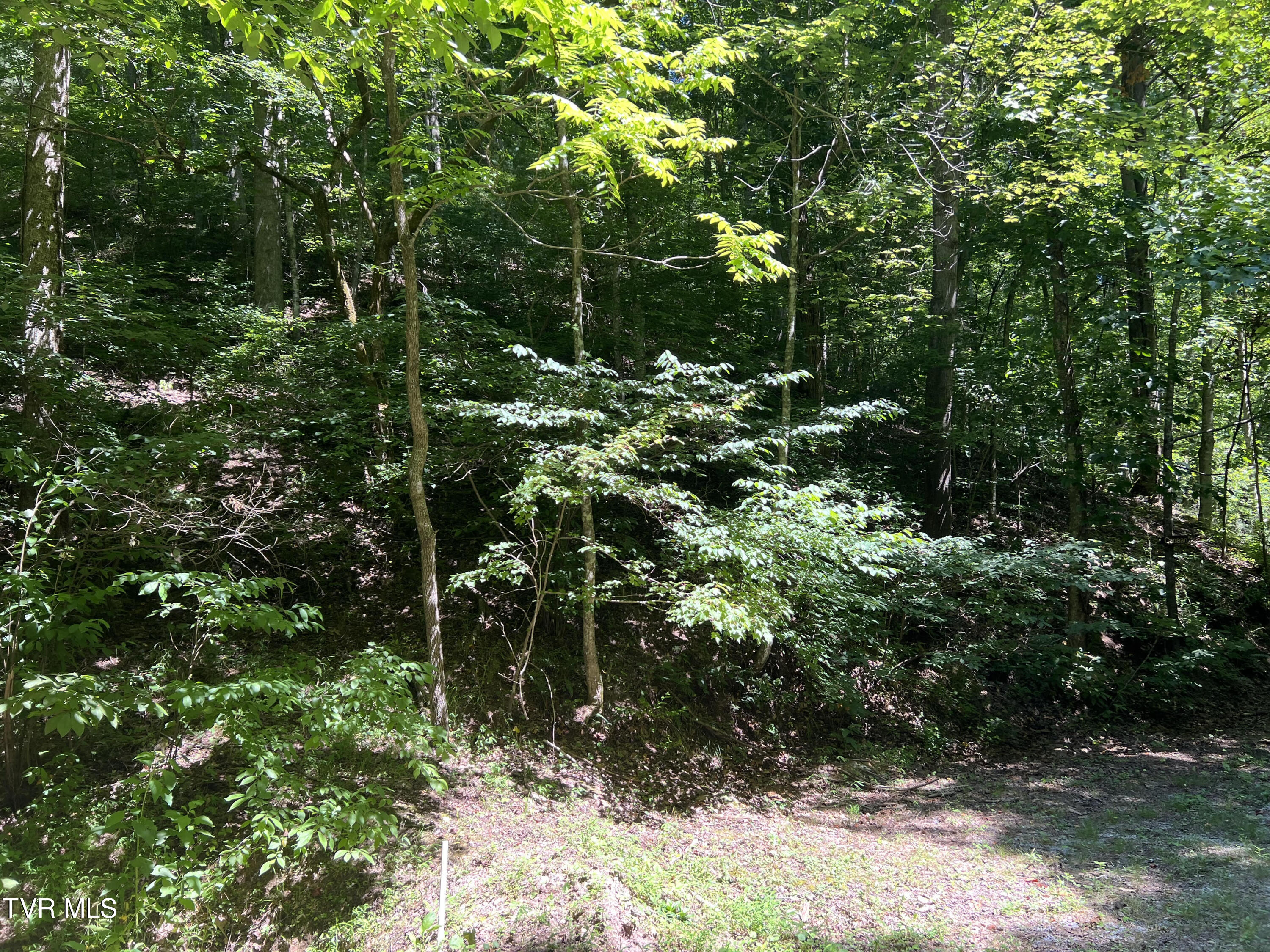 Tbd Canaan Road Property Photo 7