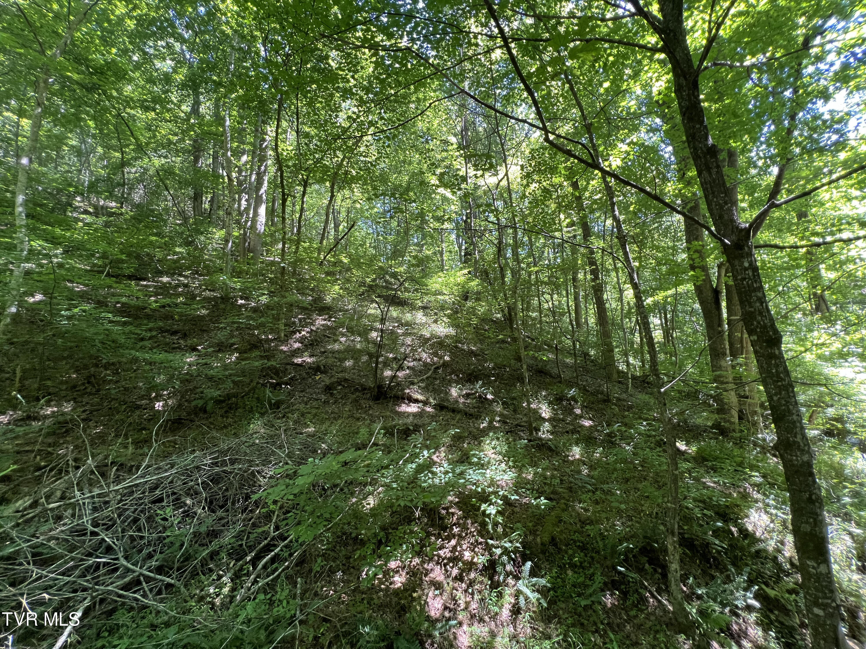 Tbd Canaan Road Property Photo 8