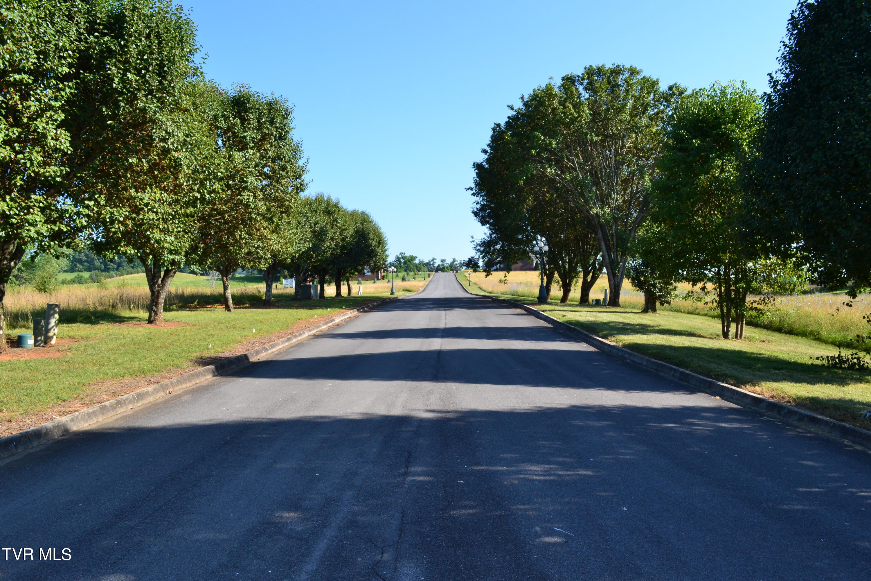 Lot 42 Walnut Grove Rd Drive Property Photo 2