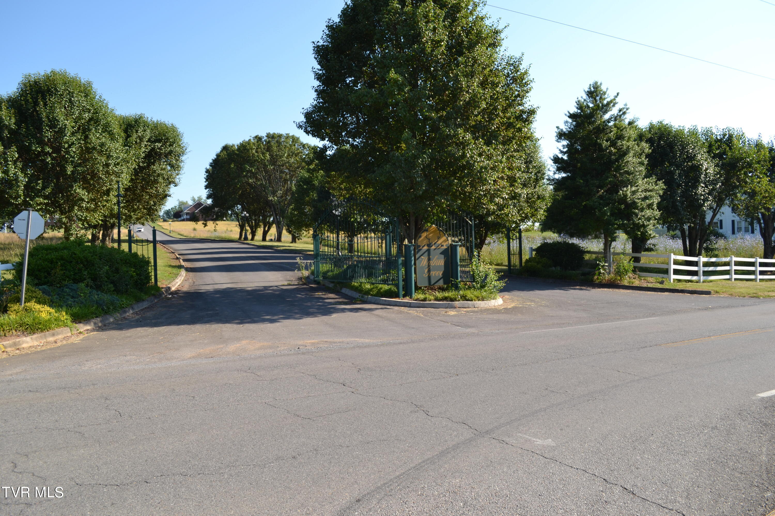 Lot 42 Walnut Grove Rd Drive Property Photo 3