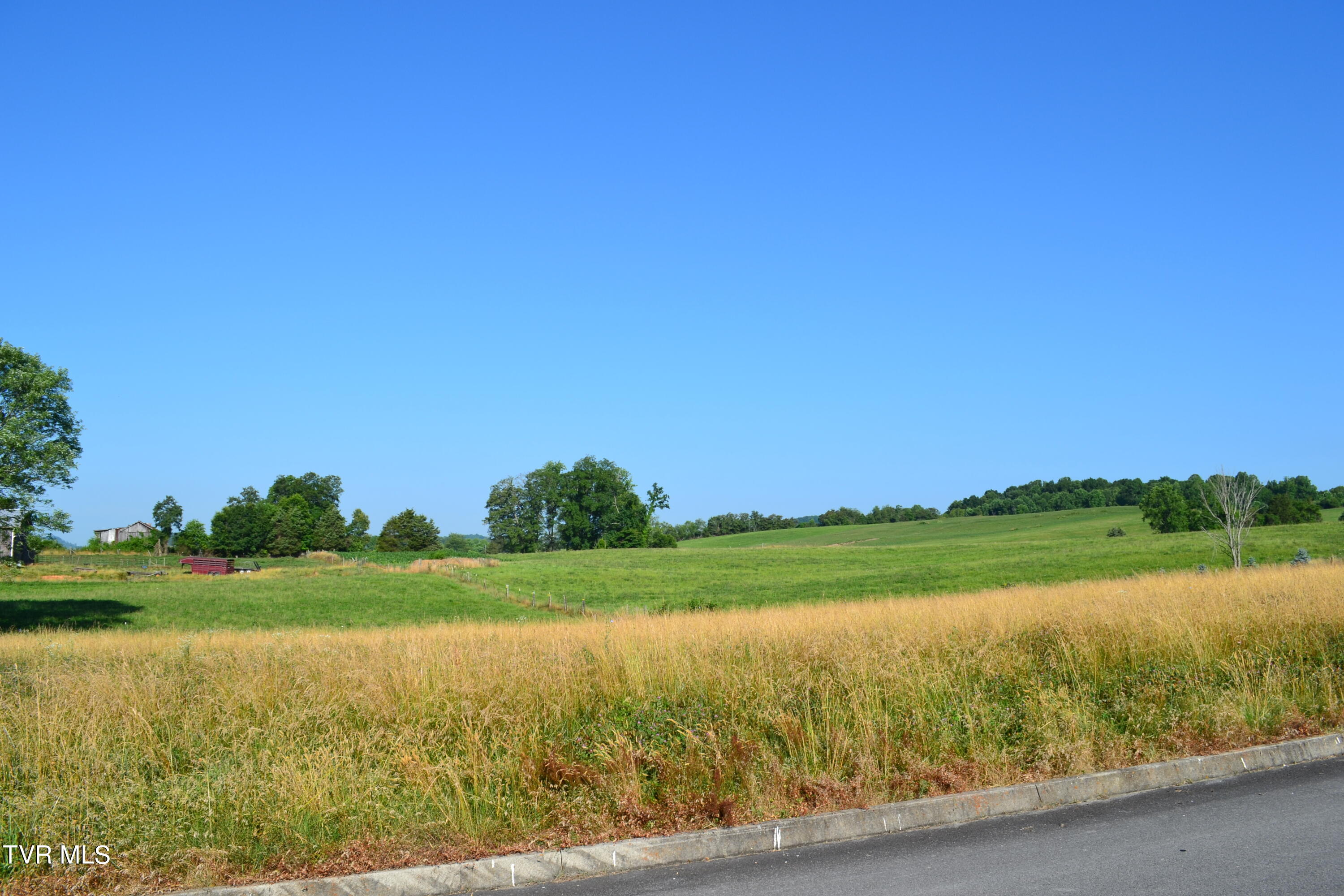 Lot 42 Walnut Grove Rd Drive Property Photo 6