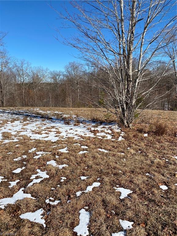 8759 Nc Highway 87 Property Photo 1