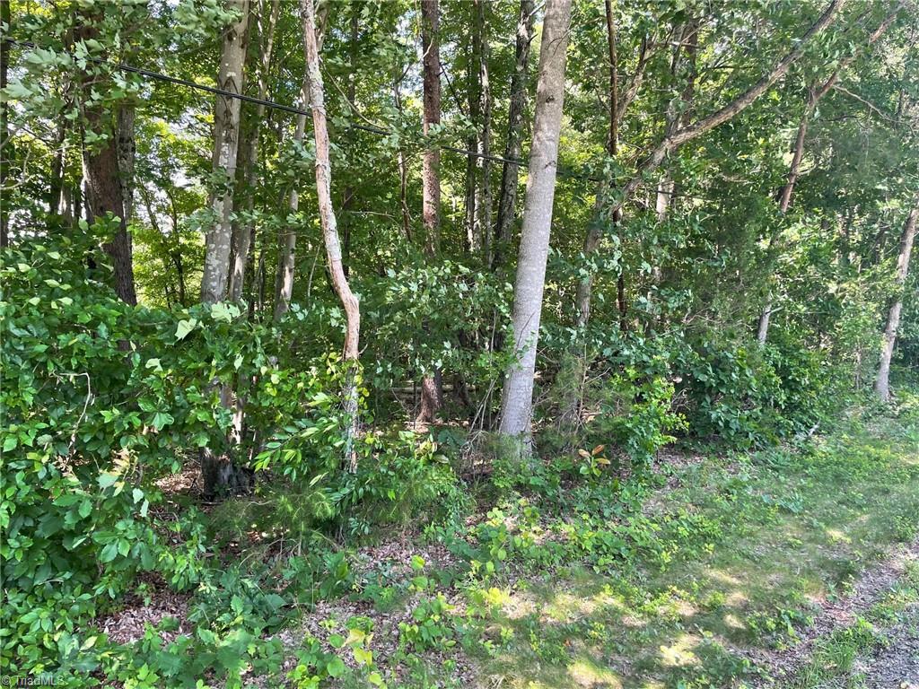 Parcel C Iron Works Road Property Photo 4