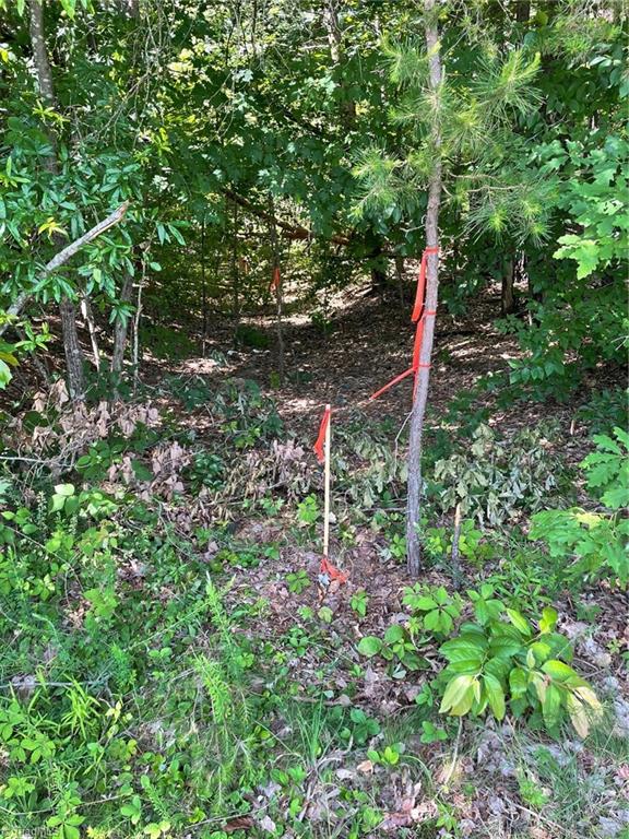 Parcel C Iron Works Road Property Photo 5