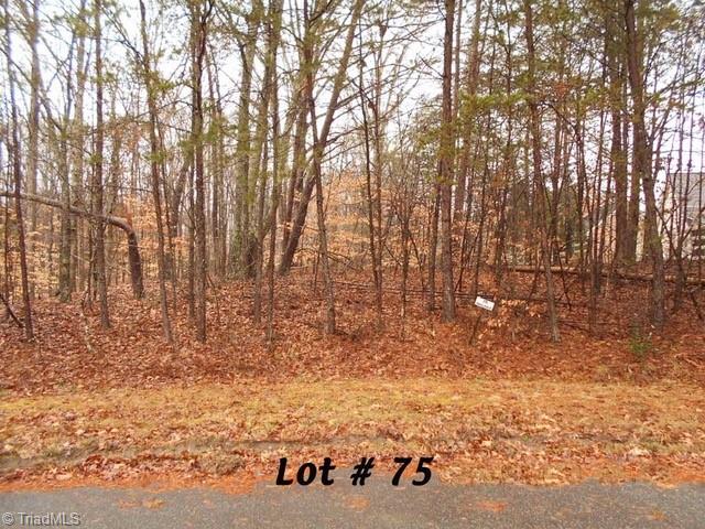 #75 Beaver Run Property Photo