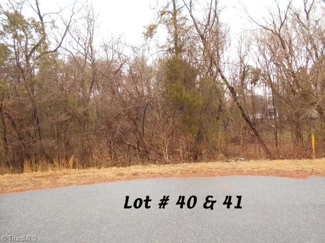 #40 & #41 Fox Run Property Photo