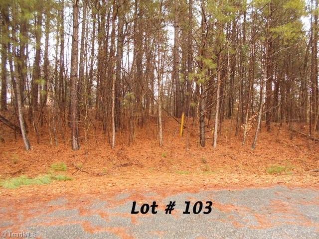 #103 Deer Run Property Photo