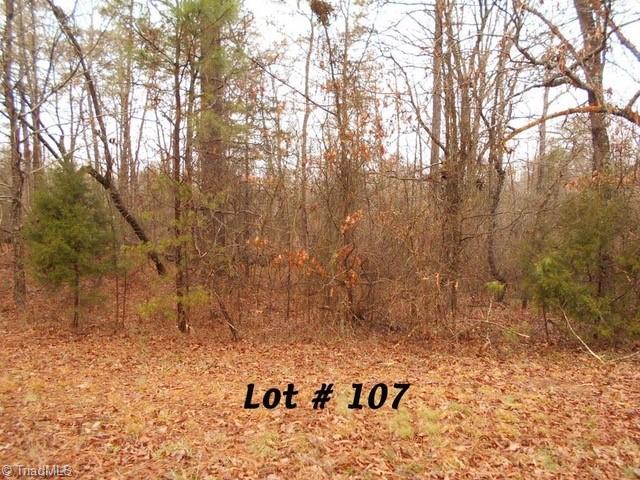 #107 Deer Run Property Photo