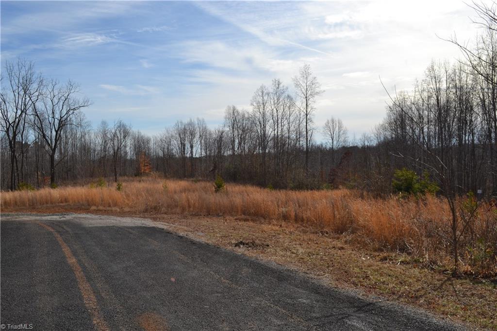 80 Acres Bobby Nelson Road Property Photo 1