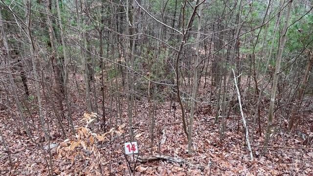 Lot 14 Woods Haven Lane Property Photo