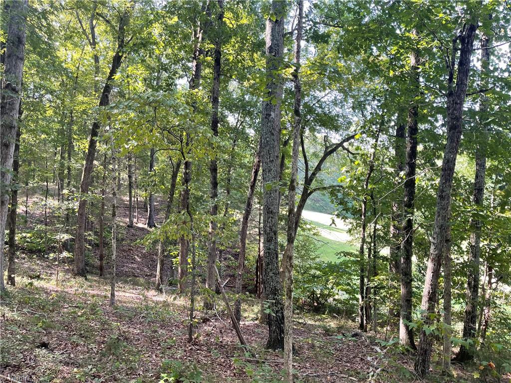 4736 S Main Street Property Photo 6